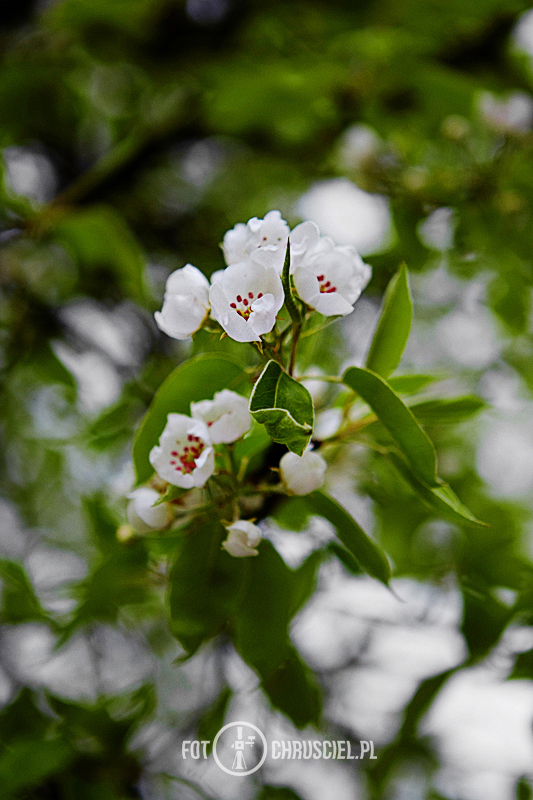 20170430b_001